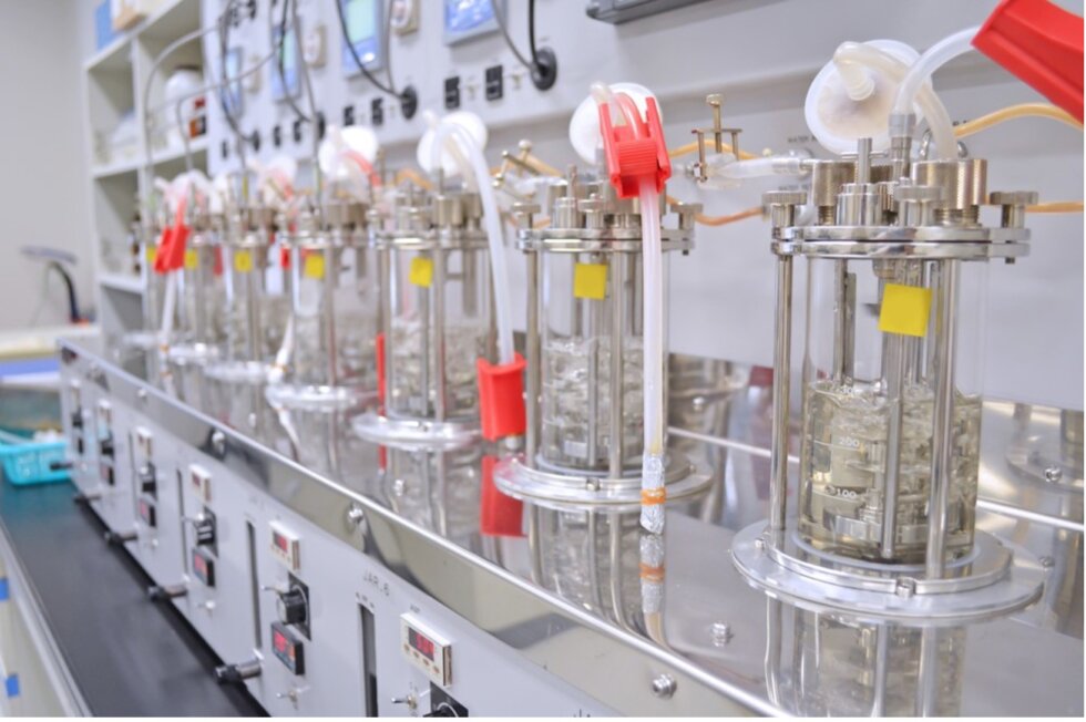 Fermentation Process Monitoring with OffGas and Dissolved Gas Analysis